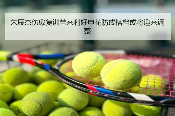 朱辰杰伤愈复训带来利好申花防线搭档或将迎来调整