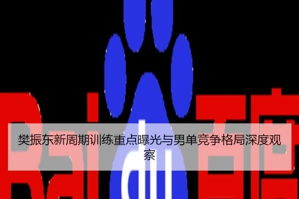 樊振东新周期训练重点曝光与男单竞争格局深度观察